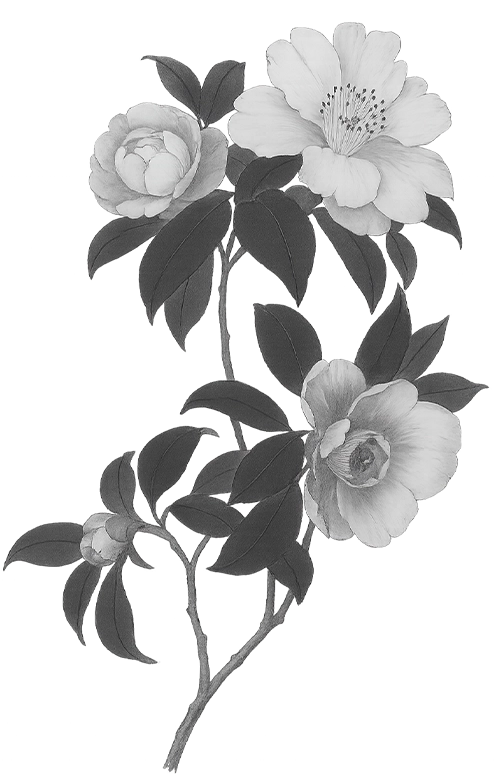 flower-2