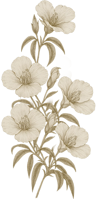 flower-3