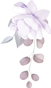 flower-bottom