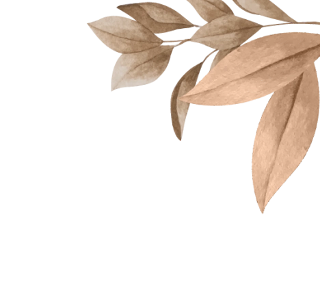 img-top-right
