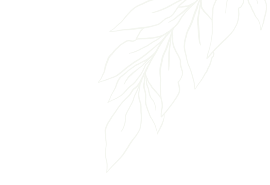 img-top-center