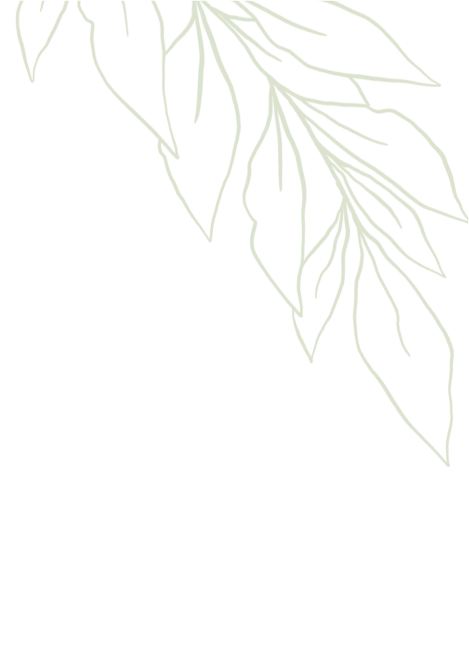 img-top-left